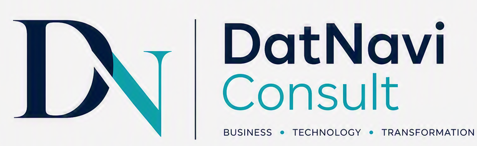 DatNavi Consult